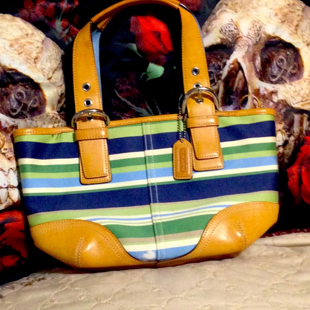 Coach stripe purse